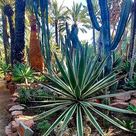 Benki I Radka * Torrevieja