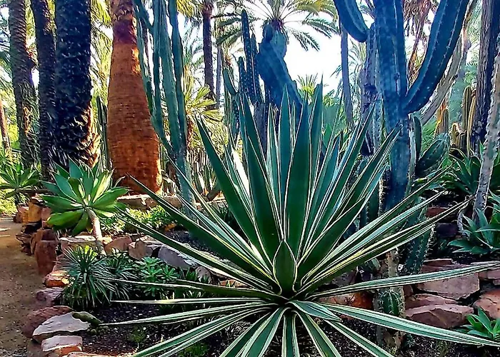 Benki I Radka * Torrevieja