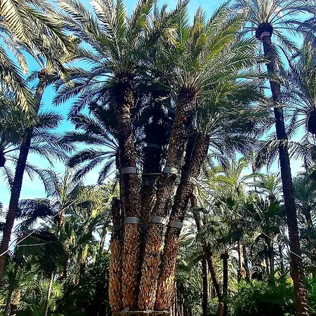 Apartment Benki I Radka