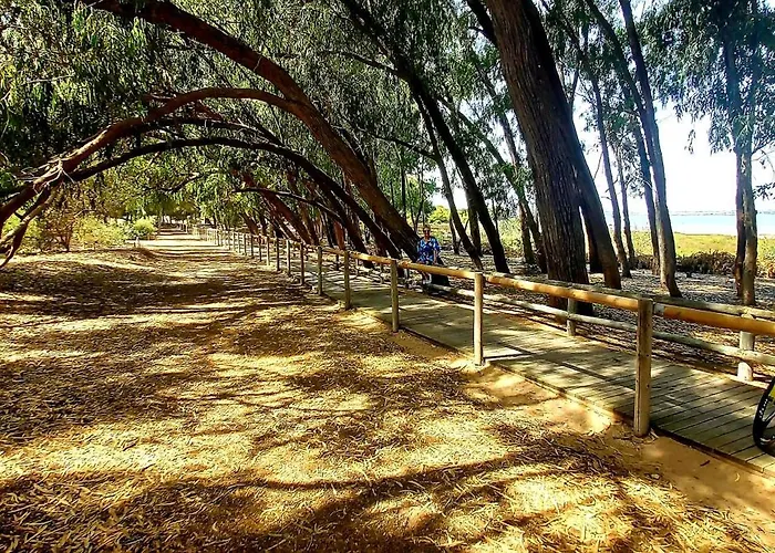 Apartment Benki I Radka