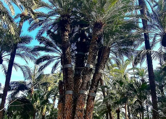 Apartment Benki I Radka