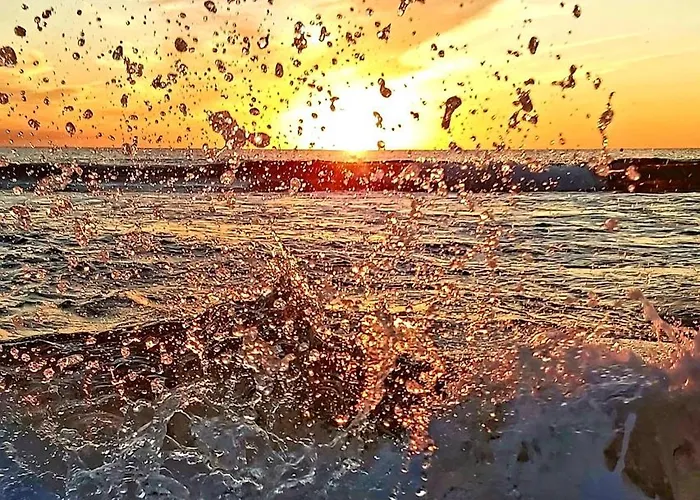 Benki I Radka Torrevieja